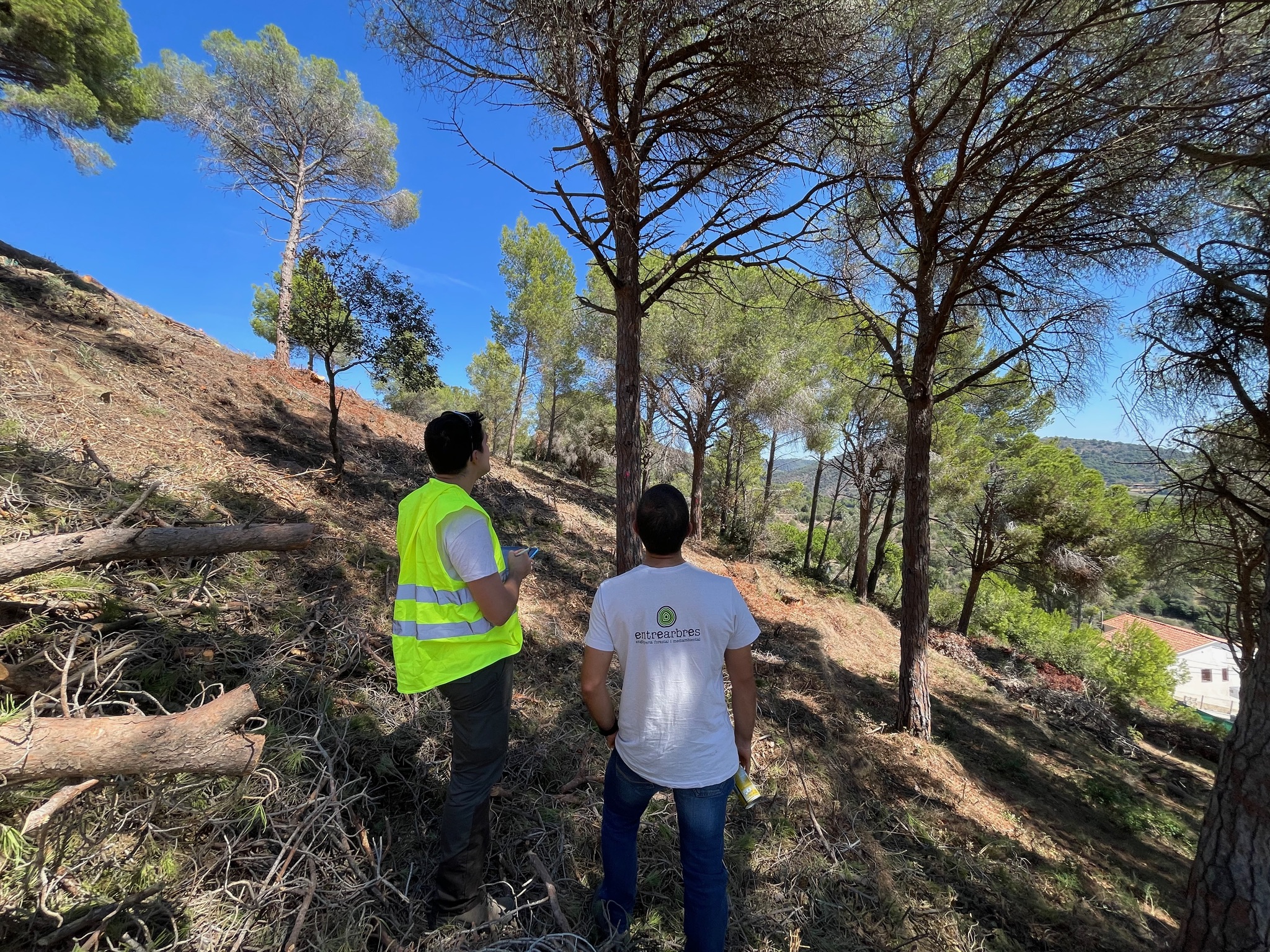 Direcció Obra i Coordinació SSL