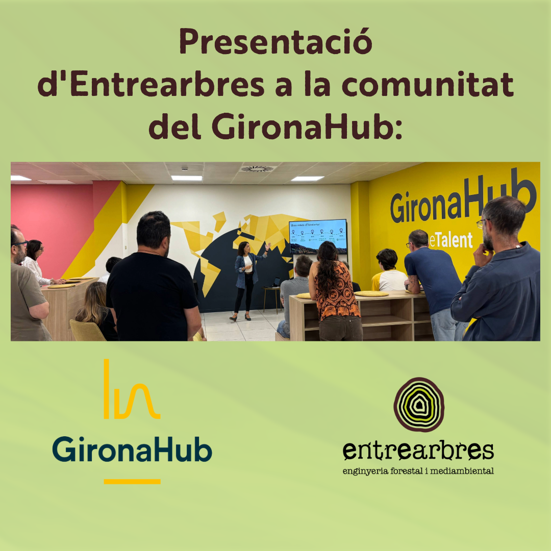 Presentació al GironaHub