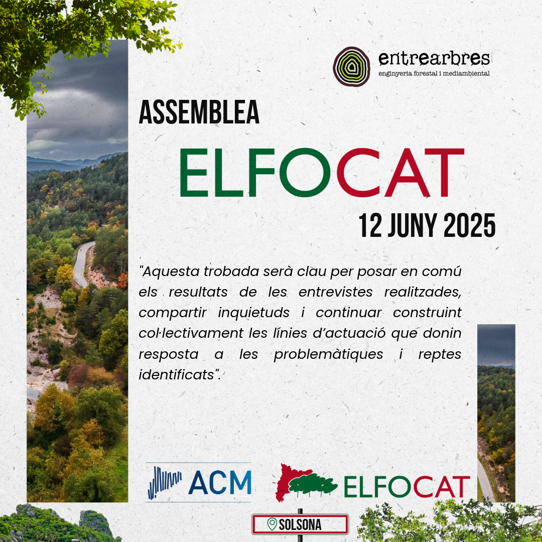ASSEMBLEA ELFOCAT 12/06/2025