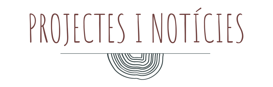 Títol 'Projectes i notícies' amb un disseny contemporani, incloent un estil de tipografia elegant i una imatge d'acollida amb línies que s'assemblen a la secció transversals dels tronc d'un arbre.