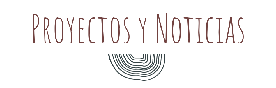 Títol 'Projectes i notícies' amb un disseny contemporani, incloent un estil de tipografia elegant i una imatge d'acollida amb línies que s'assemblen a la secció transversals dels tronc d'un arbre.