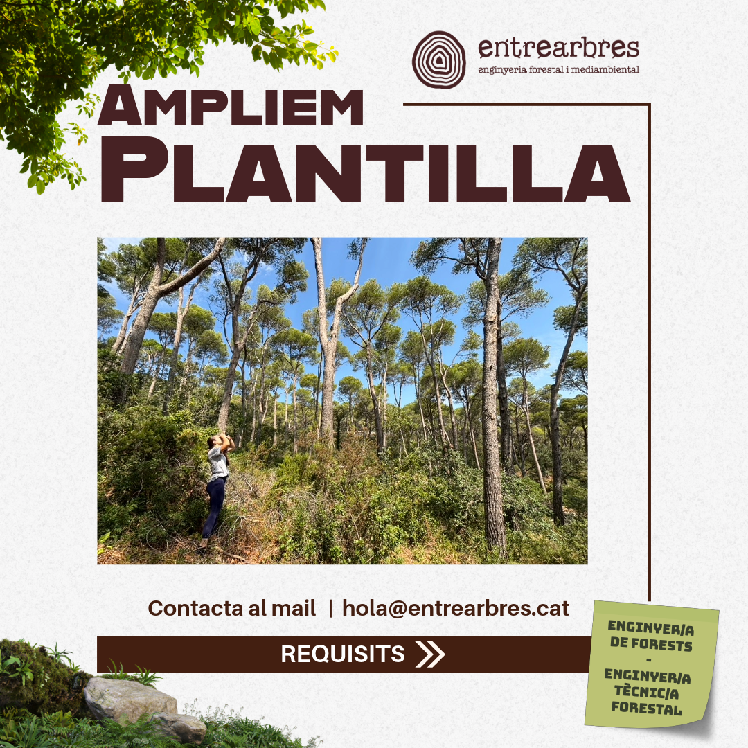Vols treballar amb nosaltres? Ampliem plantilla