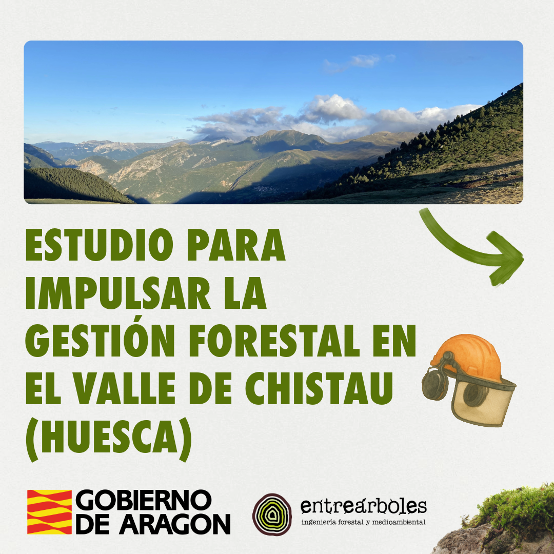 Estudio para impulsar la gestión forestal en el valle de chistau