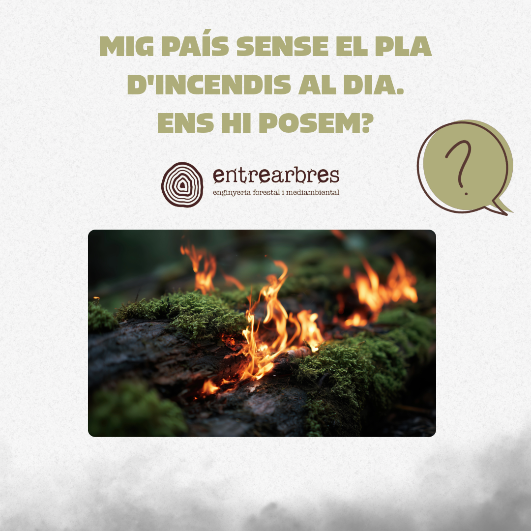 Pla d’incendis?