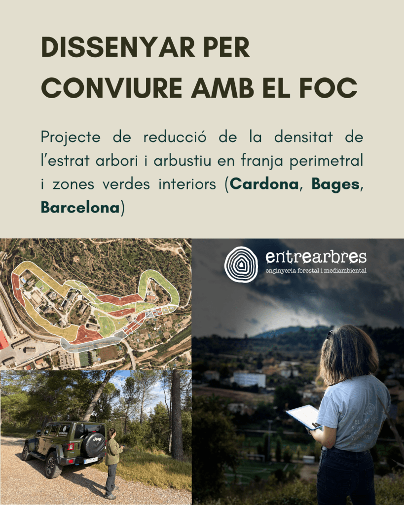 Banner promoting a project titled 'Dissenyar per conviure amb el foc,' which focuses on reducing tree and shrub density in protective zones. Features an aerial view of a site with marked areas and a person observing the landscape.